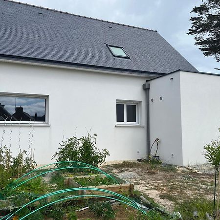 Maison Tamaris Avec Jardin Et Clos Quiberon Εξωτερικό φωτογραφία
